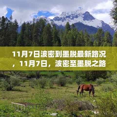 11月7日波密至墨脱最新路况,心灵之旅与自然共舞