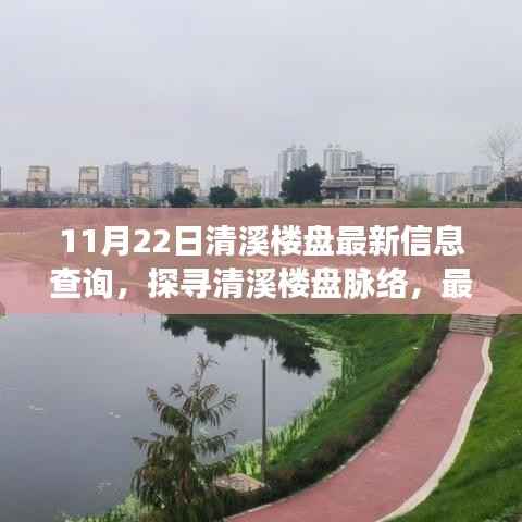 探寻清溪楼盘脉络,最新信息查询与深度剖析