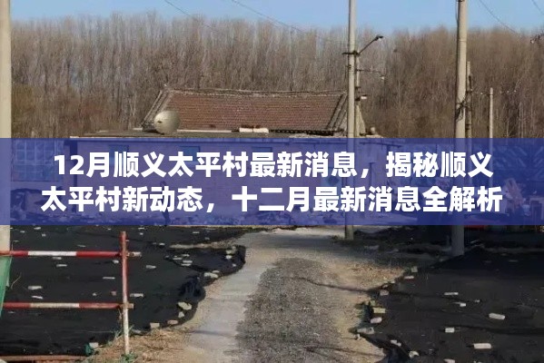 顺义太平村十二月最新动态全解析,揭秘最新消息🍂