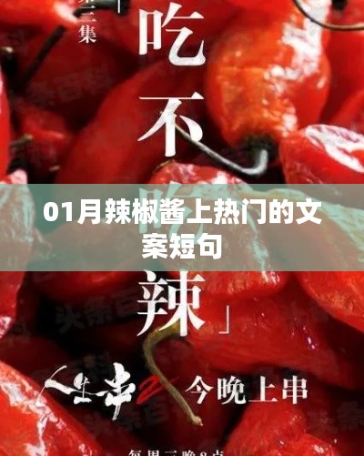 01月热门辣酱,美味尝鲜必备!