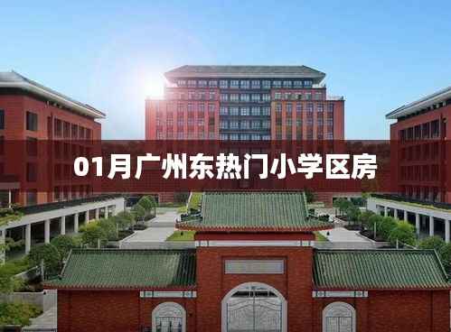 广州东热门小学区房热度解析