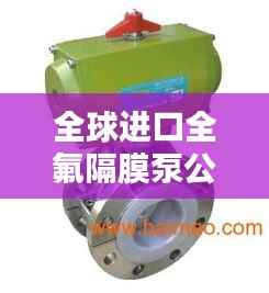 全球进口全氟隔膜泵公司排名大揭秘!