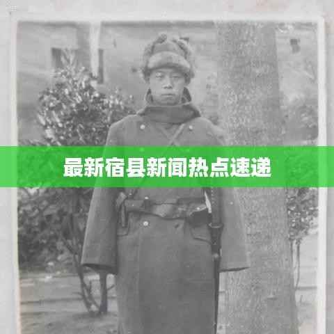 最新宿县新闻热点速递