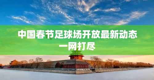 中国春节足球场开放最新动态一网打尽
