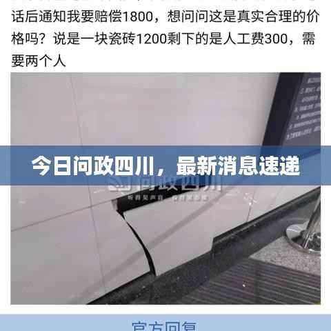 望其项背 第3页