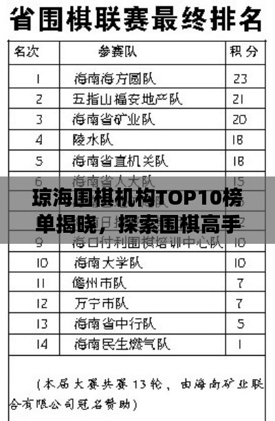 琼海围棋机构TOP10榜单揭晓,探索围棋高手的殿堂