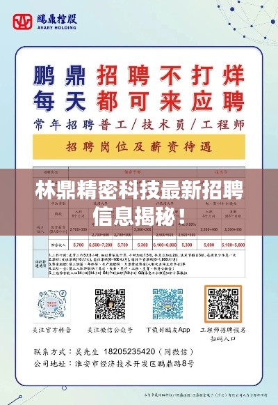 林鼎精密科技最新招聘信息揭秘!